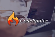 Codeigniter Web Development Company						